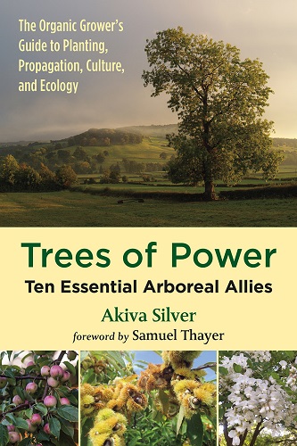 TREES OF POWER by Akiva Silver